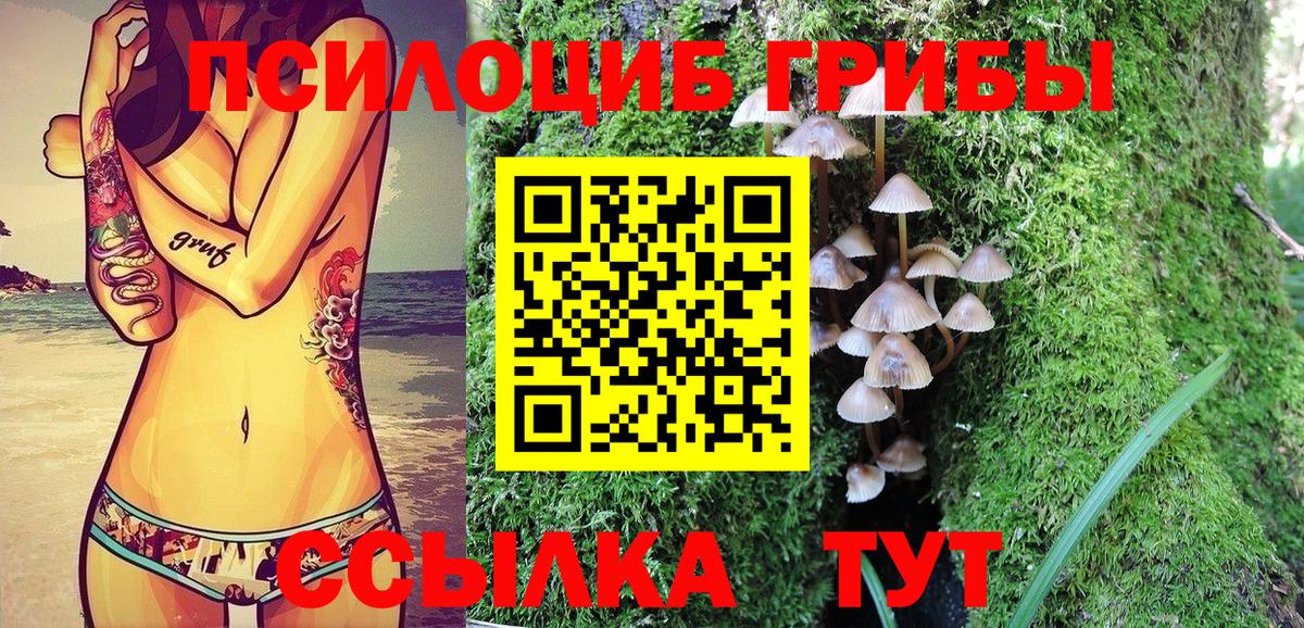 Псилоцибиновые грибы прущие грибы Рузаевка