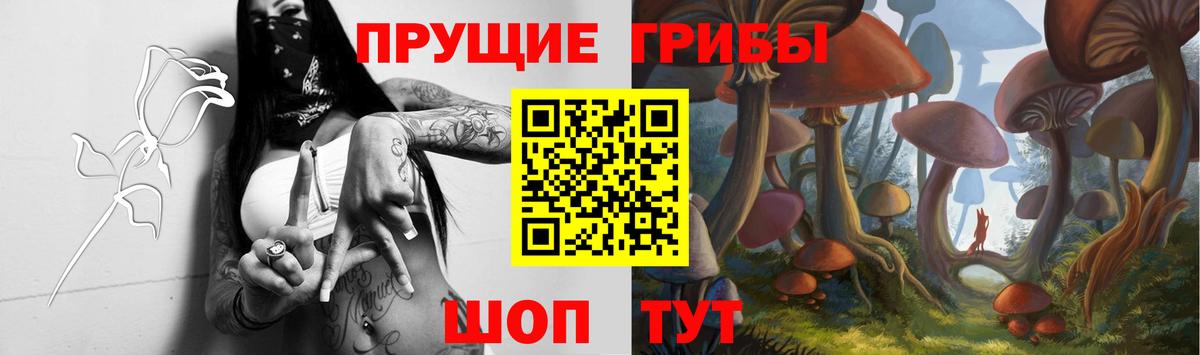 Псилоцибиновые грибы GOLDEN TEACHER  Рузаевка 